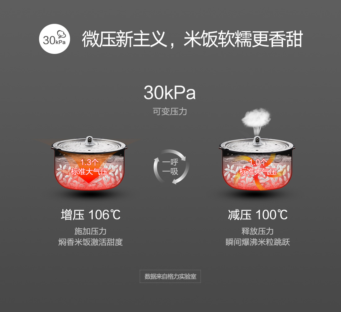 大松百香煲GDCF-4009C